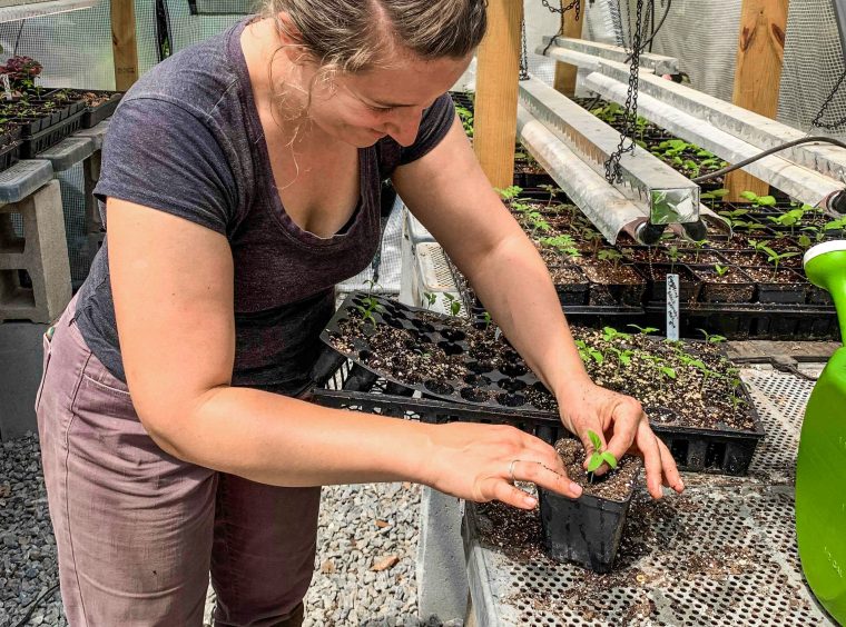 woman checking on sustainability efforts