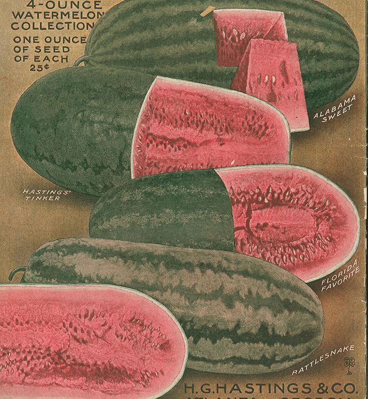 How We Use Vintage Seed Catalogs Today Atlanta History Center