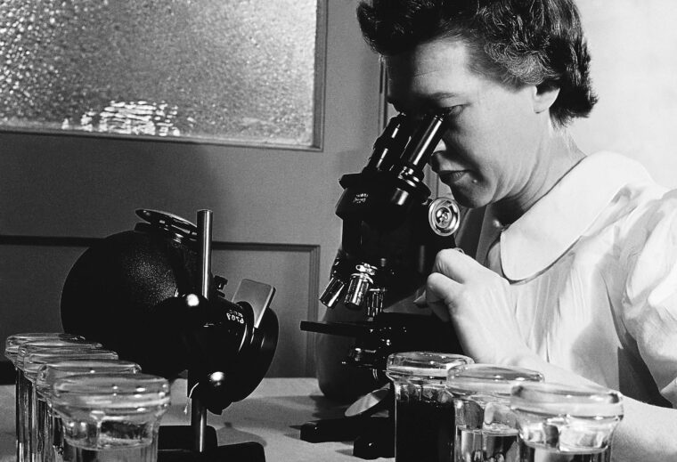woman looking at something through microscope