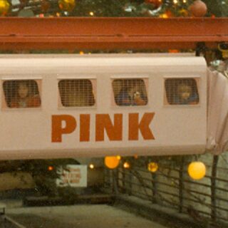 Pink pig