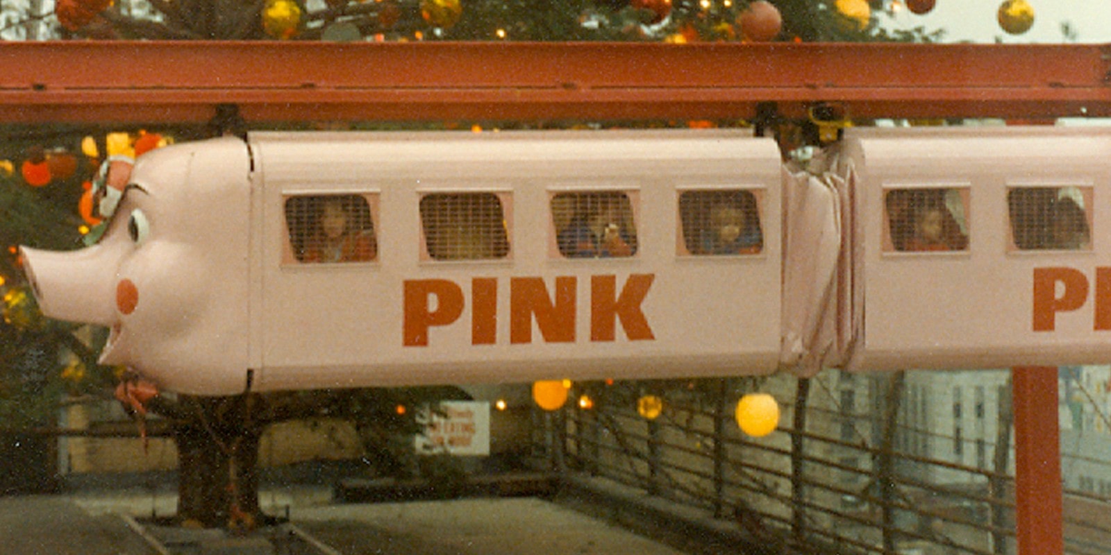 Pink pig