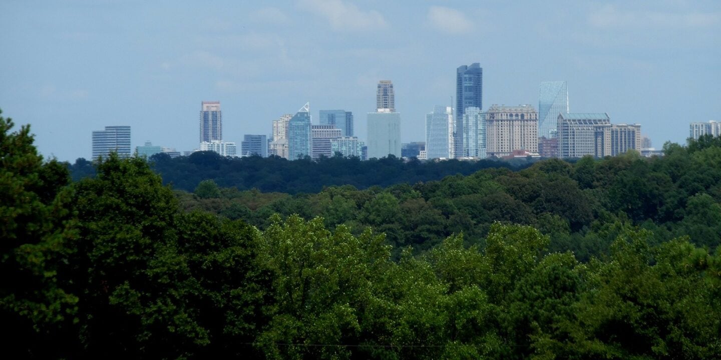 Trees Atlanta in 50 Objects Exhibitions Atlanta History Center