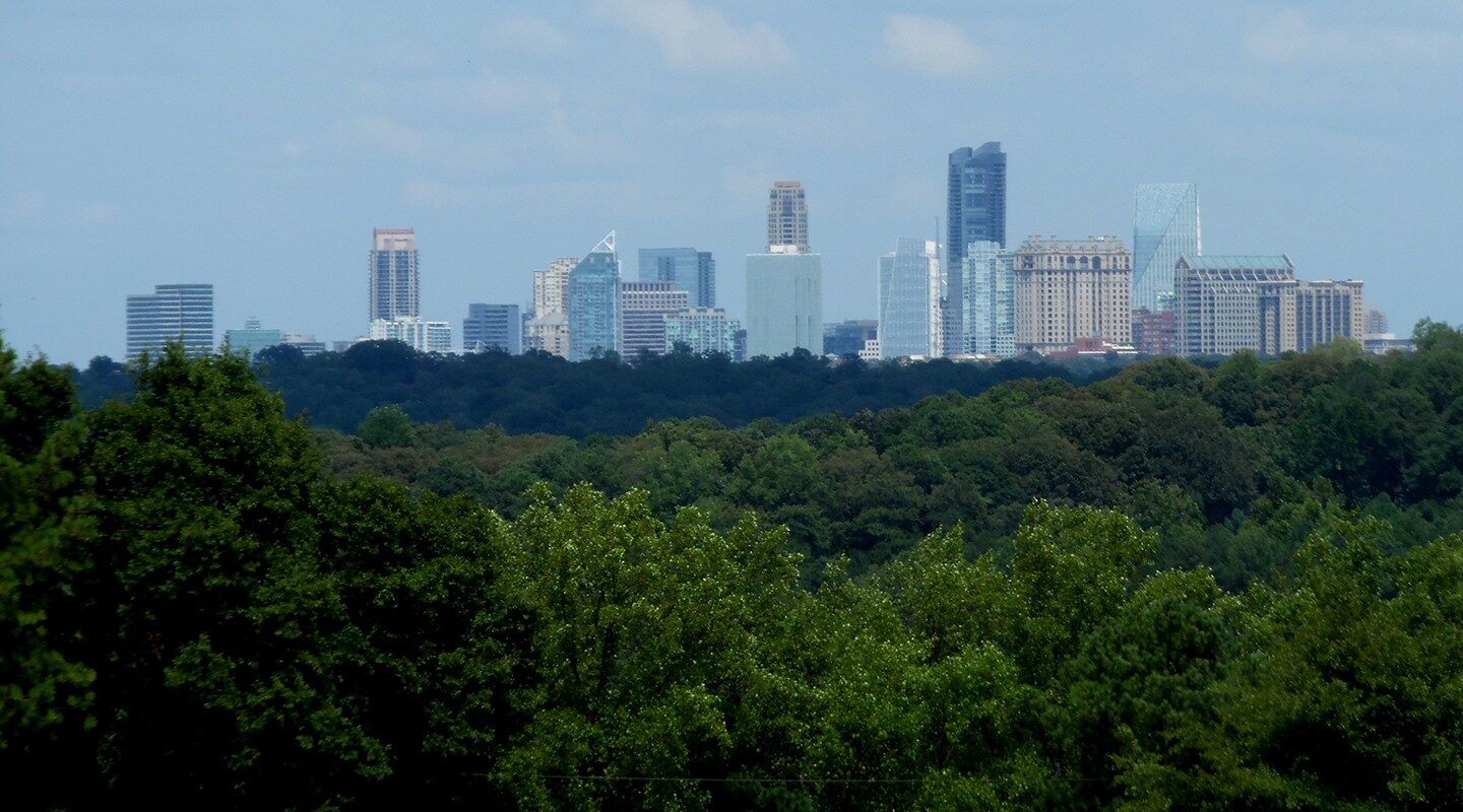 Trees Atlanta in 50 Objects Exhibitions Atlanta History Center