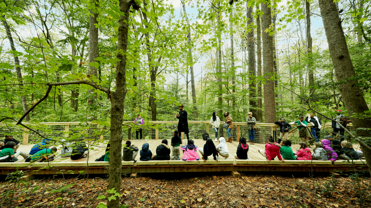 kids sitting down in Swan Woods