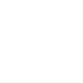 The Rich Foundation