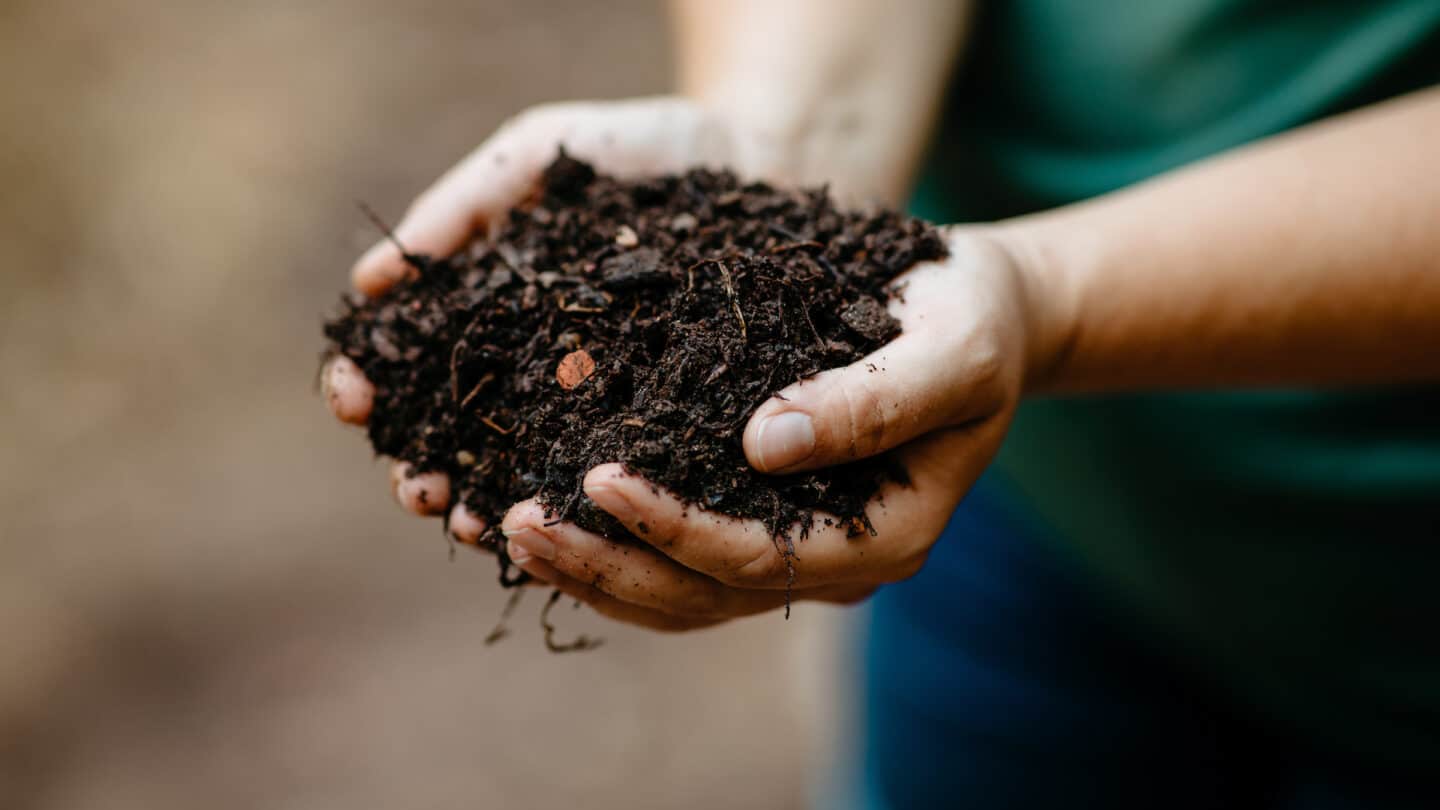 hands holding soil/compost