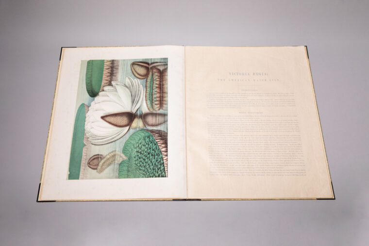 botanical book