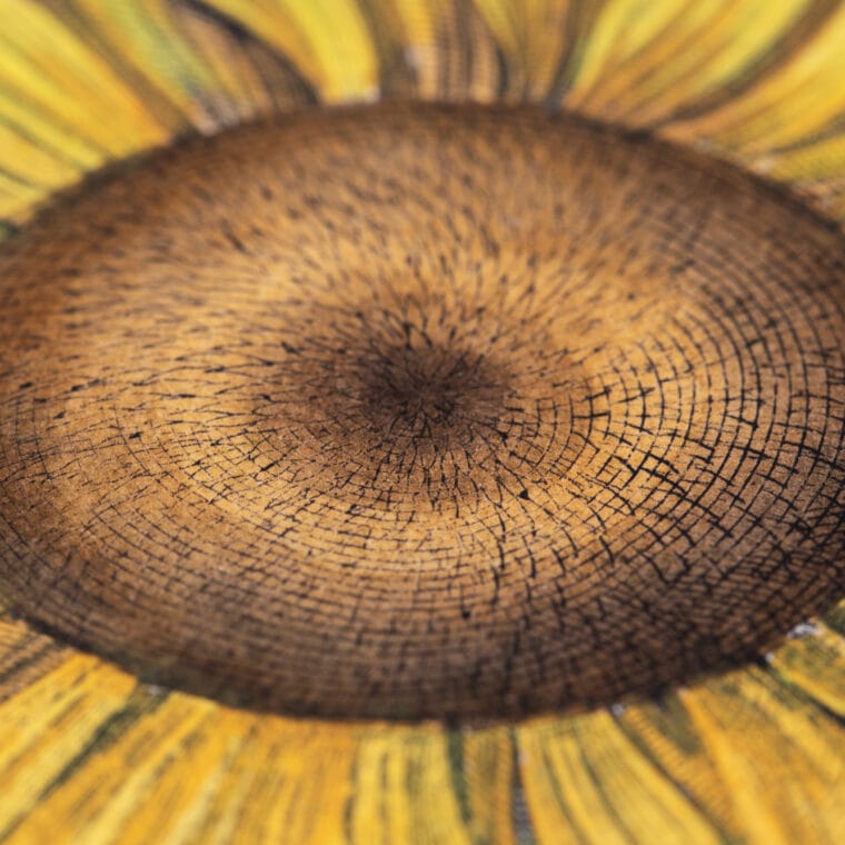 sunflower botanical print, close up