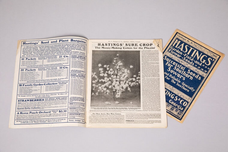 hastings seed catalog