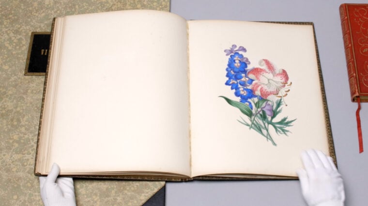 Floral bells image in a botanical book