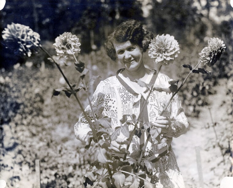 Harper with Flowers, archive