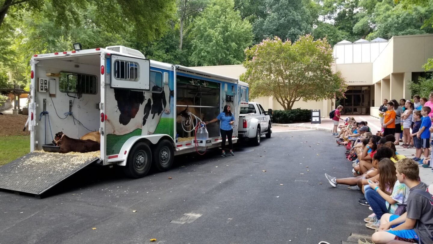 Students sitting on sidewalk learning about cow on truck