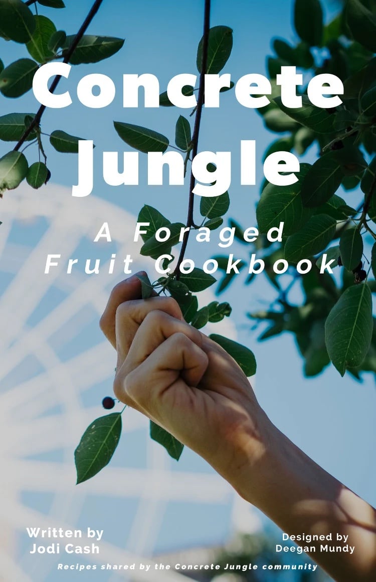 Concrete Jungle Book Cover