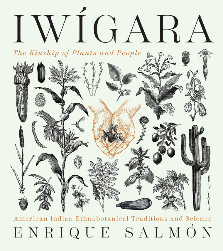 Iwigara Book Cover
