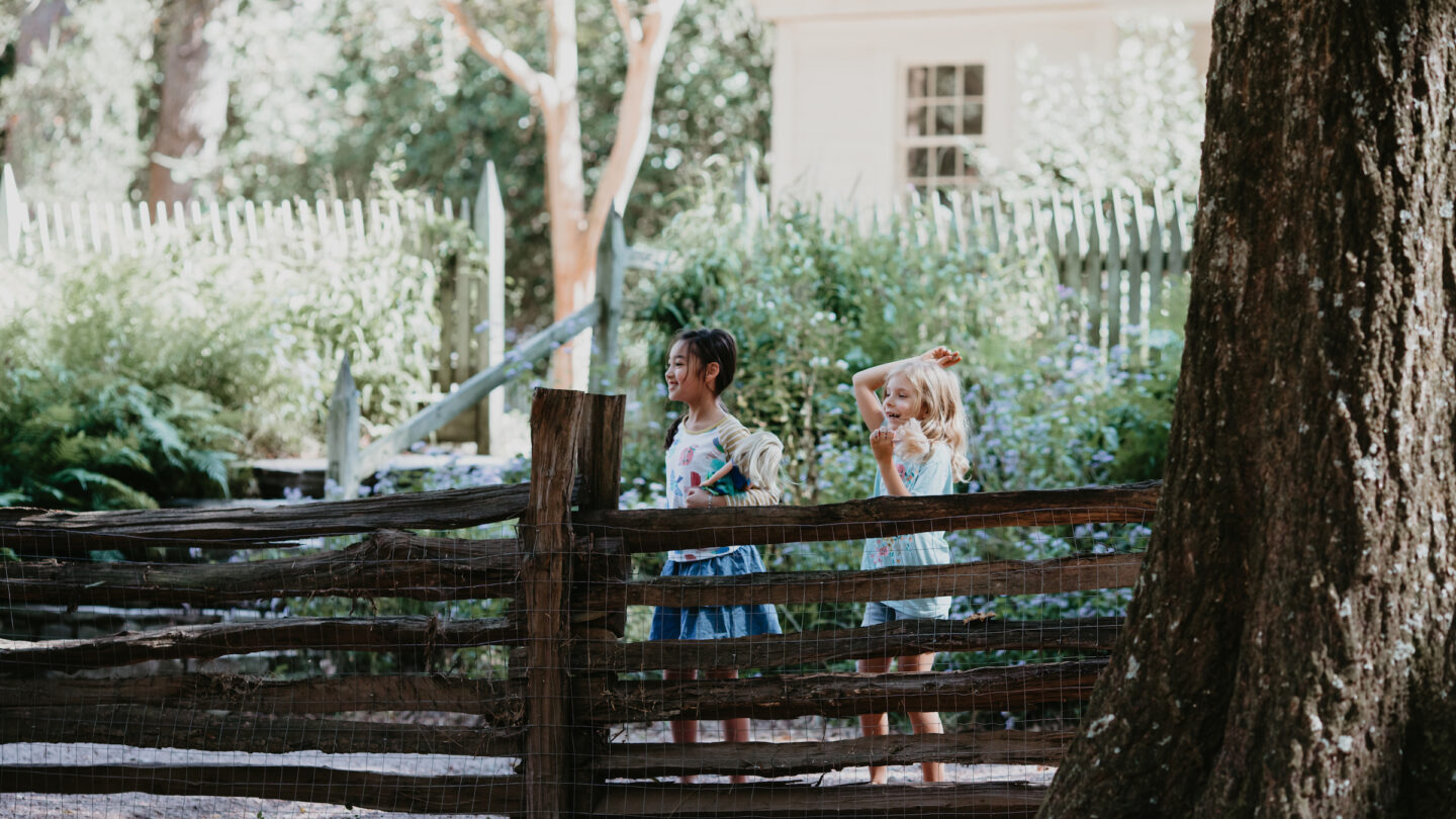 Children at the farm