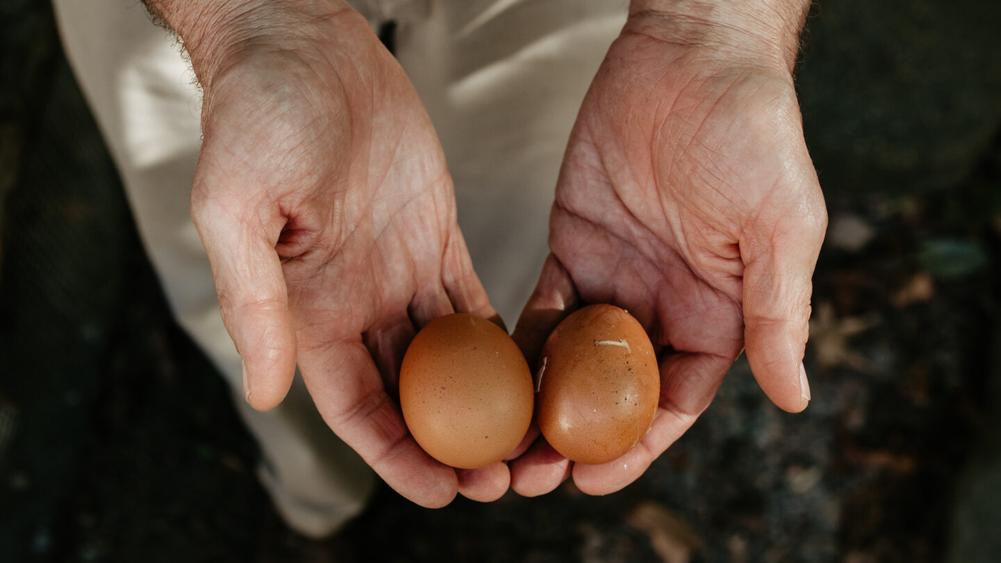 Close-up of male hands holding two eggs
