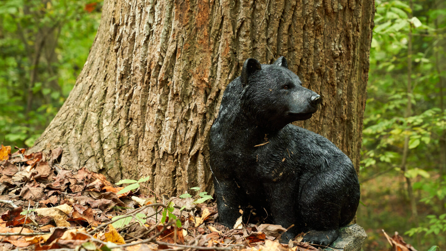 wooden bear