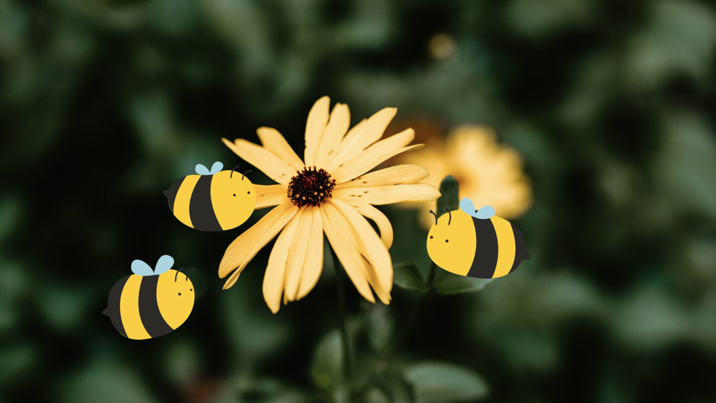 flower with bee illustrations