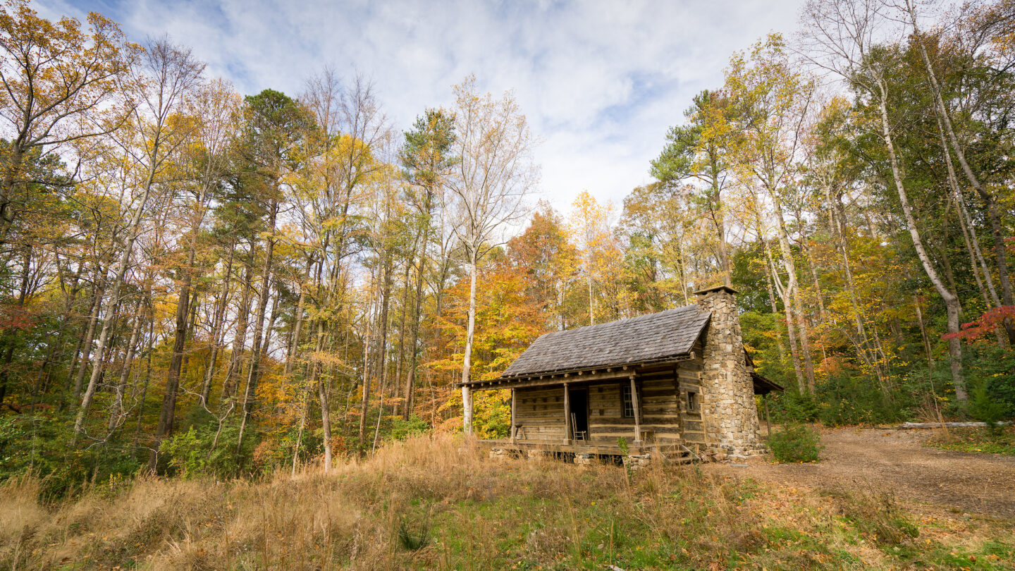 wood cabin