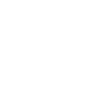 Emmett Till Interpretive Center logo