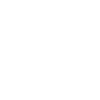 The Children's Museum logo