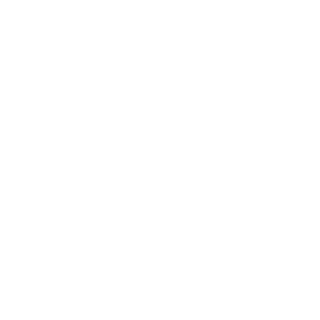 Emmett-Till-Mamie-Till-Institute logo