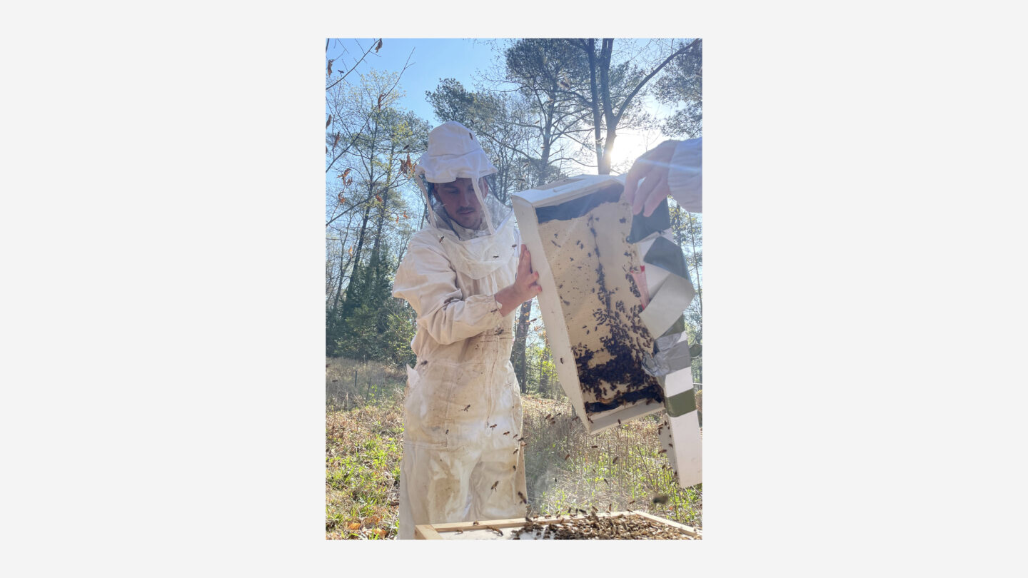 Michael Dreyer (Horticulturalist––Smith Farm), installing remaining bees into the hive body.