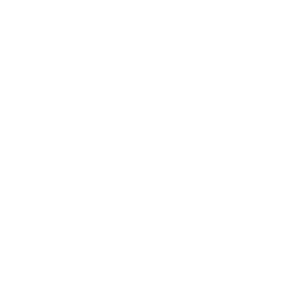Maddox Foundation logo