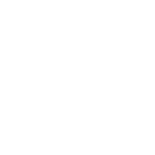 The Rich Foundation