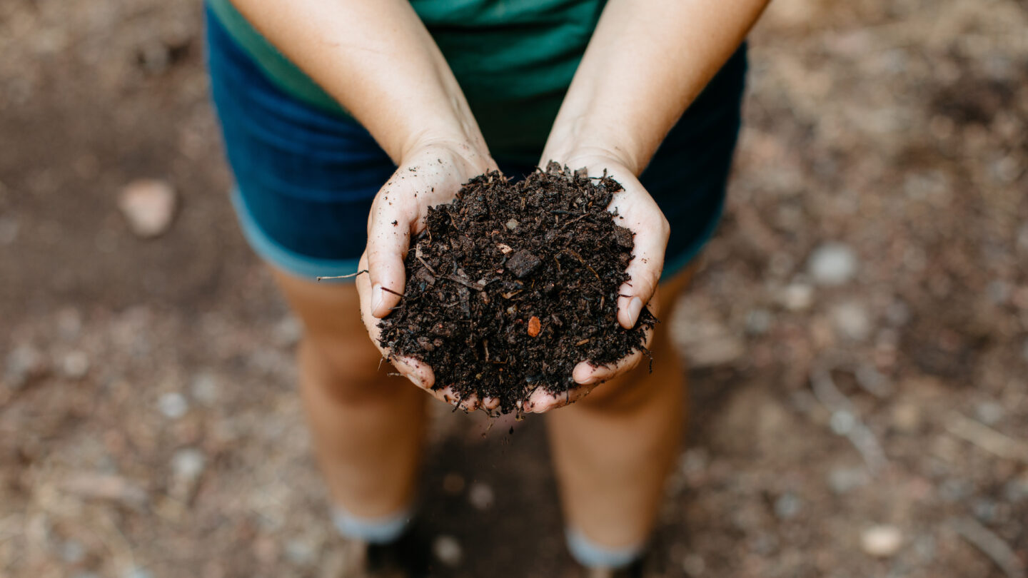 A Goizueta Gardens staff member holds fresh compost.