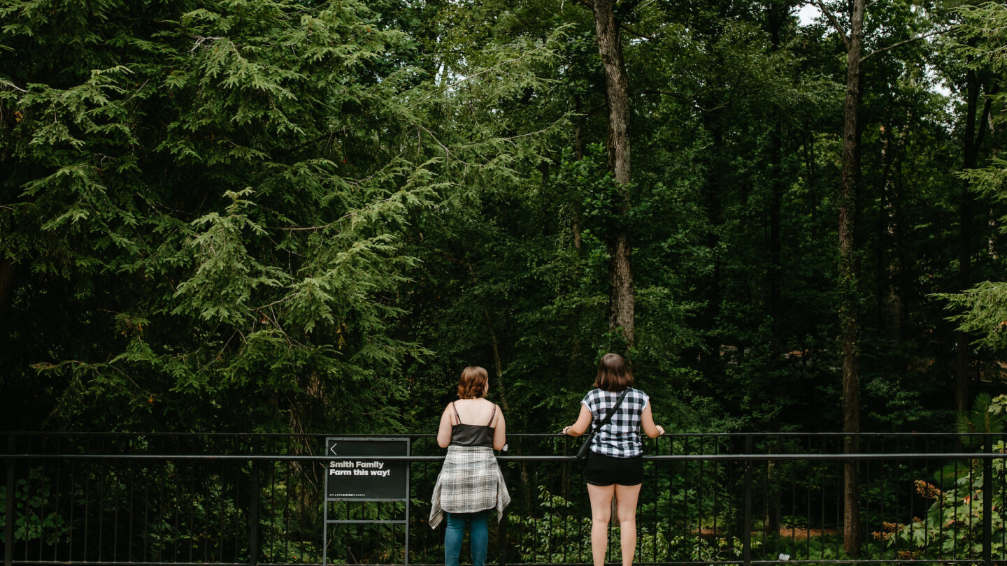 two people looking up