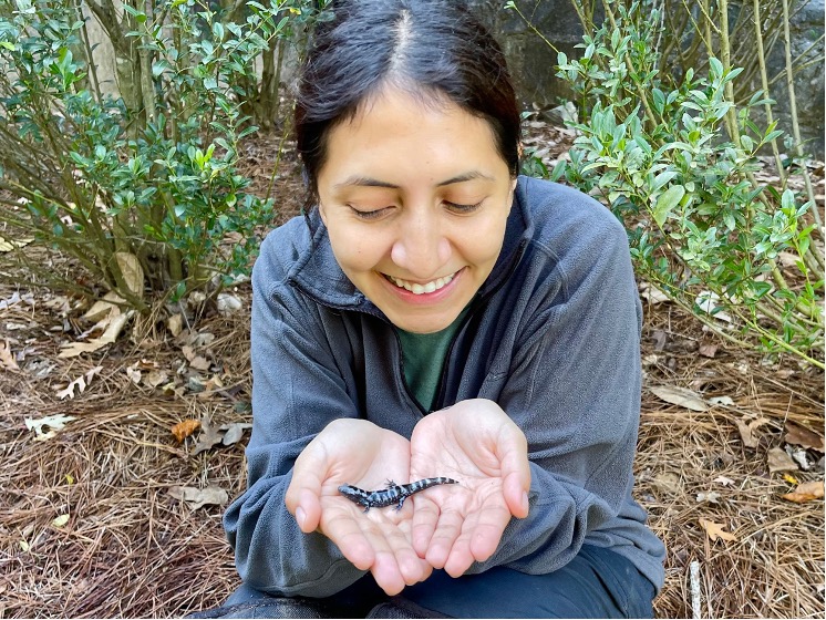 Lexly Evans, Horticulturist for the Entrance Gardens, holds a mature marbled salamander