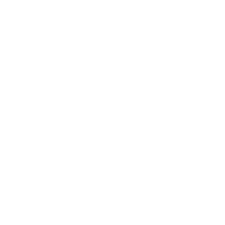 Atlanta Braves Foundation logo
