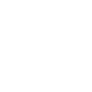 henry louis aaron fund logo