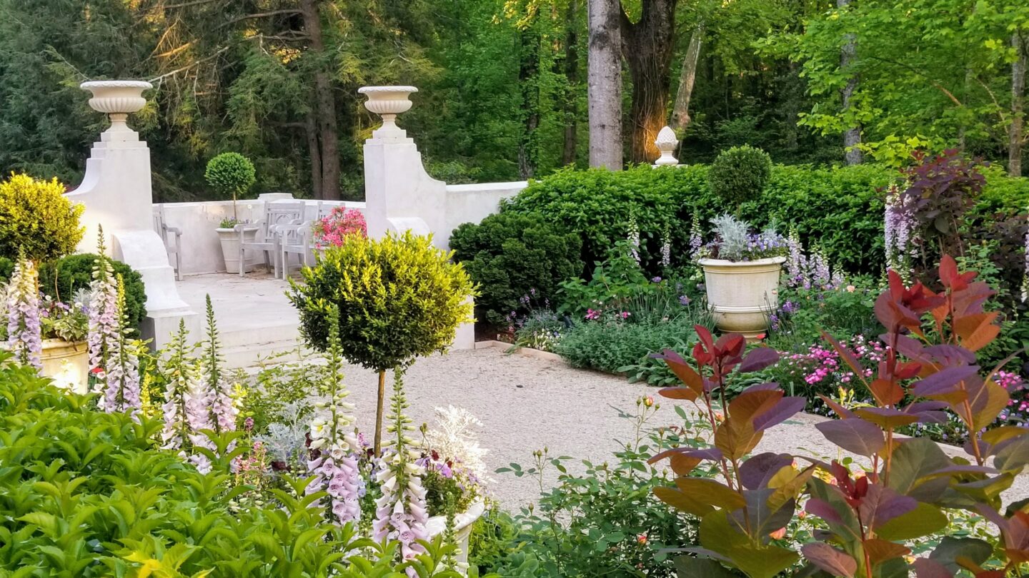 Photo of Olguita's Garden