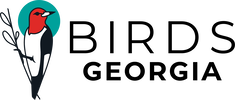 Logo of Birds Georgia
