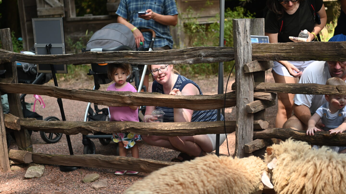 Greet the Sheep and Goats